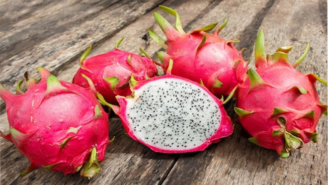 Un programme vietnamo-néo-zélandais créé de nouvelles variétés de pitaya ảnh 1 Un programme vietnamo-néo-zélandais créé de nouvelles variétés de pitaya ảnh 1