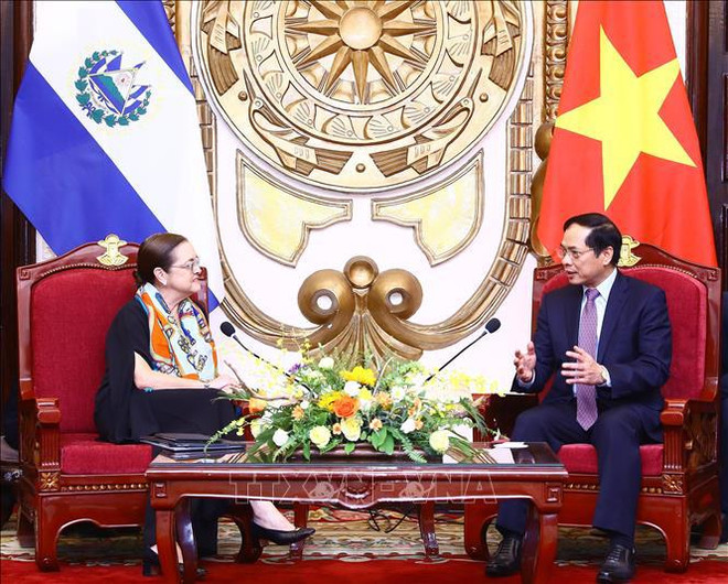 Le Vietnam et El Salvador réfléchissent aux mesures pour dynamiser les liens bilatéraux ảnh 1 Le Vietnam et El Salvador réfléchissent aux mesures pour dynamiser les liens bilatéraux ảnh 1