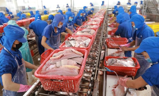 Le Vietnam enregistre un excédent commercial avec l'Amérique en janvier ảnh 1 Le Vietnam enregistre un excédent commercial avec l'Amérique en janvier ảnh 1