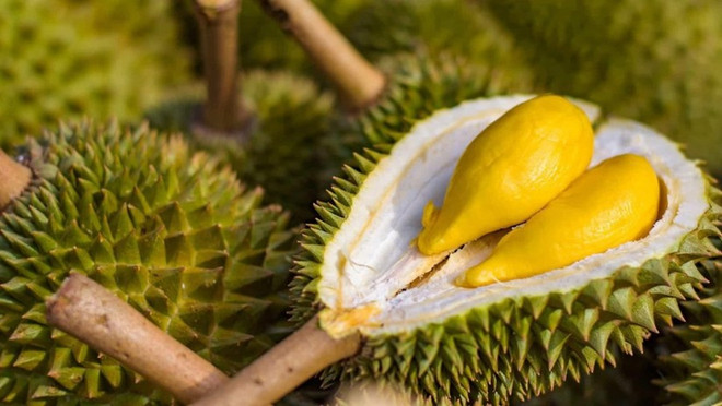 Les exportations de fruits et légumes devraient atteindre 4 mds de dollars en 2023 ảnh 2 Les exportations de fruits et légumes devraient atteindre 4 mds de dollars en 2023 ảnh 2