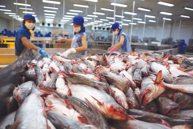 De belles perspectives pour les exportations de poisson tra en 2023 ảnh 1