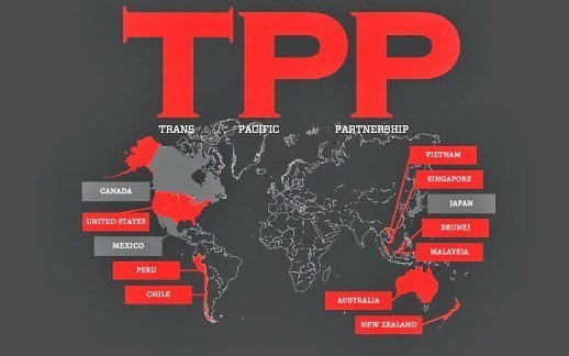 72% des entreprises vietnamiennes soutiennent le TPP ảnh 1 72% des entreprises vietnamiennes soutiennent le TPP ảnh 1