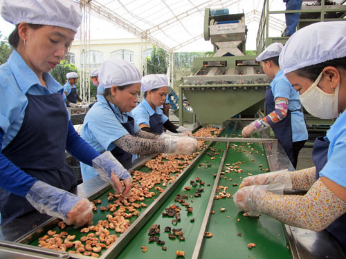 Commerce équitable : d’énormes opportunités pour les produits agricoles vietnamiens en UE ảnh 1