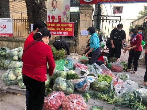 À la rescousse des produits agricoles de Hai Duong ảnh 3 À la rescousse des produits agricoles de Hai Duong ảnh 3
