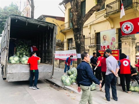 À la rescousse des produits agricoles de Hai Duong ảnh 2 À la rescousse des produits agricoles de Hai Duong ảnh 2