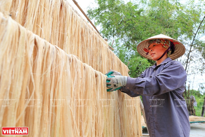 Les fibres de bananier du Vietnam conquièrent le marché mondial ảnh 2 Les fibres de bananier du Vietnam conquièrent le marché mondial ảnh 2