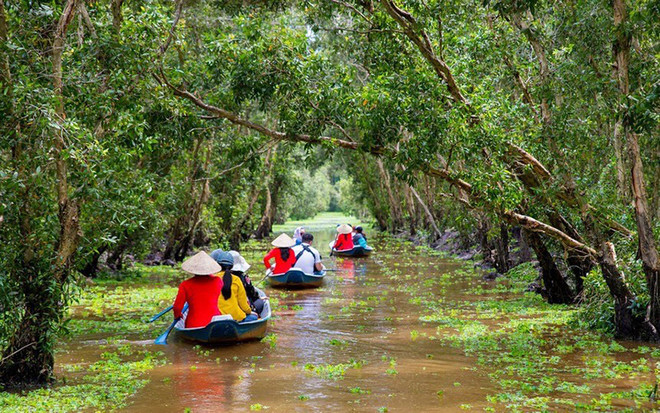 Visite printanière de la forêt de melaleuca Tra Su ảnh 2 Visite printanière de la forêt de melaleuca Tra Su ảnh 2