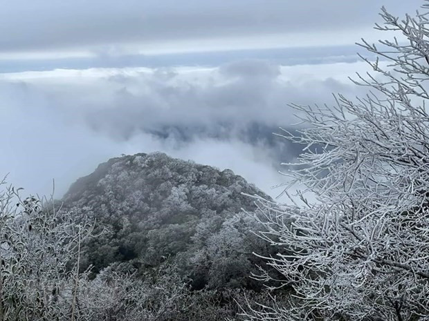 Le Nord accueille une nouvelle vague de froid ảnh 1 Le Nord accueille une nouvelle vague de froid ảnh 1
