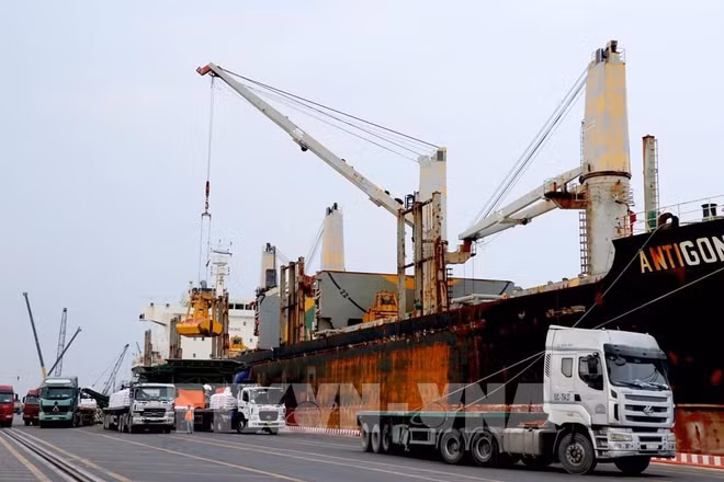 L’agrandissement prévu du port international de Long An ảnh 1
