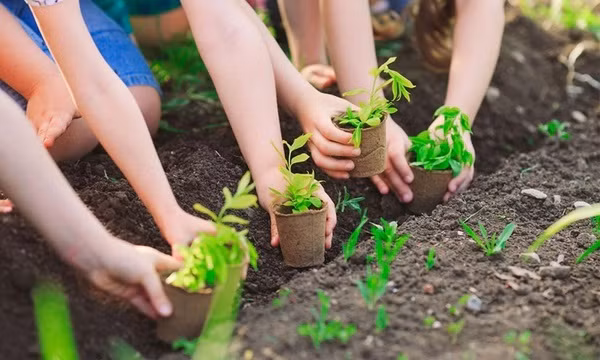 Planter un milliard d'arbres pour un Vietnam vert ảnh 2