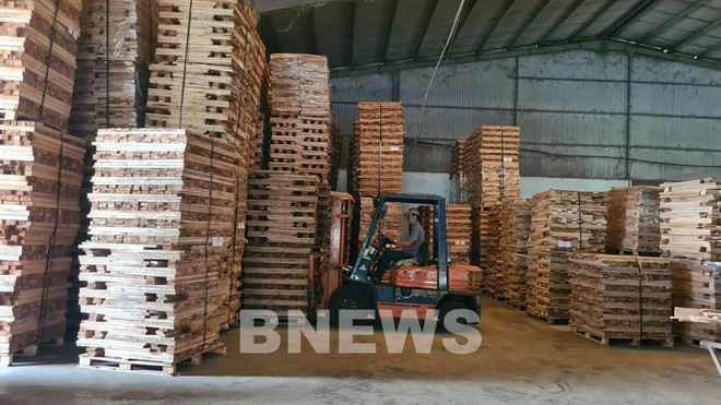Gia Lai élabore une stratégie pour stabiliser l'industrie de la transformation du bois ảnh 2 Gia Lai élabore une stratégie pour stabiliser l'industrie de la transformation du bois ảnh 2