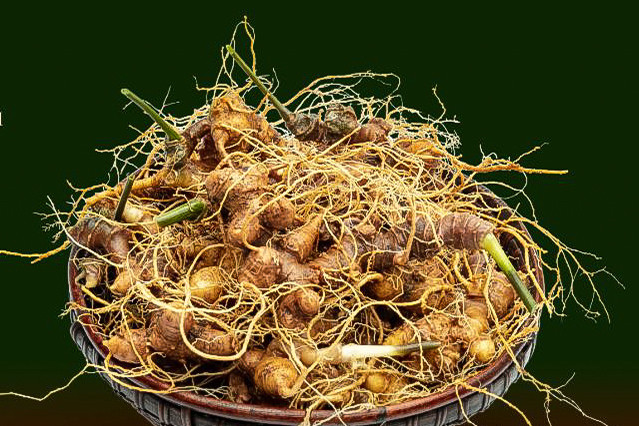 Edifier la marque pour le ginseng vietnamien ảnh 1