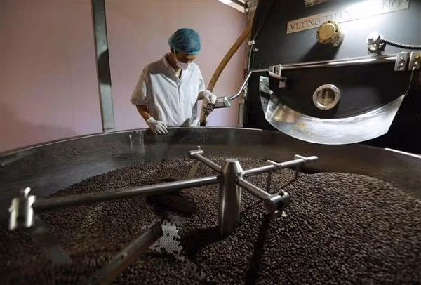 Stratégie de mise en valeur du café vietnamien ảnh 2 Stratégie de mise en valeur du café vietnamien ảnh 2