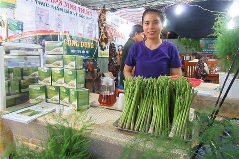 Au Centre, le bon filon des plantations d’asperges à Ninh Thuân ảnh 2 Au Centre, le bon filon des plantations d’asperges à Ninh Thuân ảnh 2