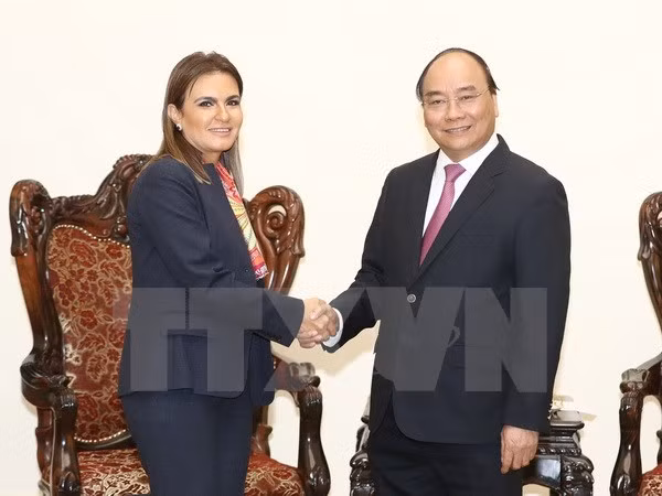 Promotion de la coopération Vietnam-Egypte dans le commerce et l’investissement ảnh 1
