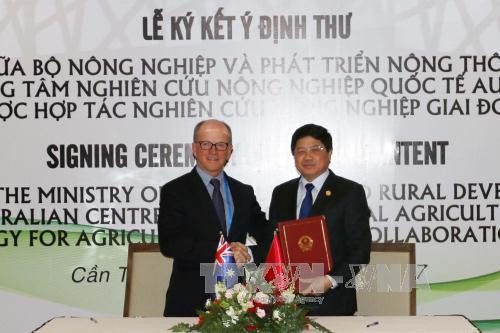 Le Vietnam et l’Australie coopèrent dans la recherche agricole ảnh 1 Le Vietnam et l’Australie coopèrent dans la recherche agricole ảnh 1
