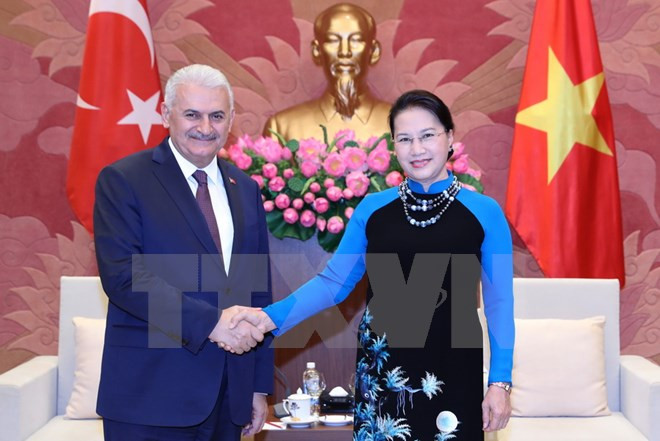 Le Vietnam et la Turquie veulent booster leurs liens ảnh 2 Le Vietnam et la Turquie veulent booster leurs liens ảnh 2