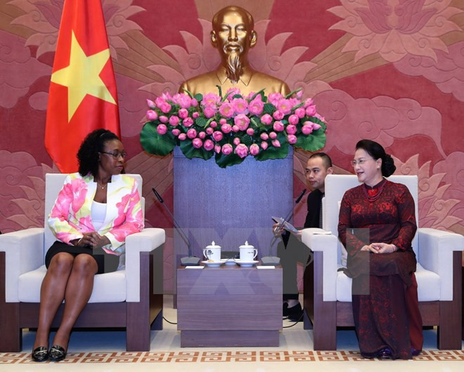 Promotion de la coopération Vietnam – Mozambique ảnh 1 Promotion de la coopération Vietnam – Mozambique ảnh 1