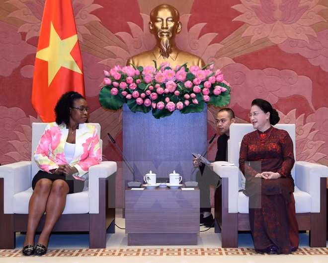 Promotion de la coopération Vietnam – Mozambique ảnh 1