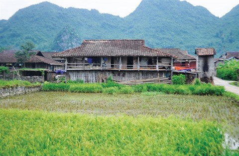 Dans les hameaux Tày de Bac Son ảnh 2 Dans les hameaux Tày de Bac Son ảnh 2