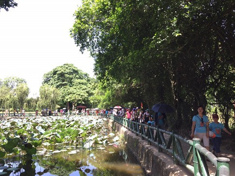 À la découverte du pays natal du Président Hô Chi Minh ảnh 1