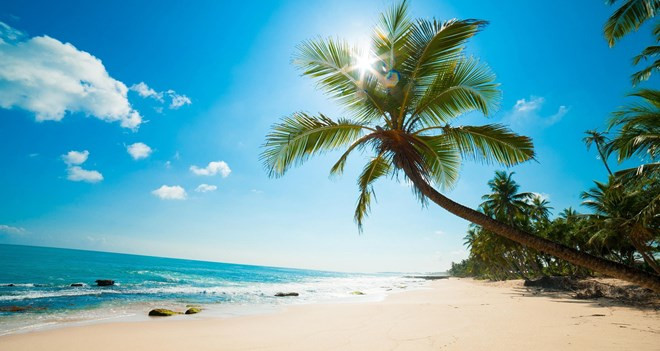 Phu Quoc accueille plus de 8.300 touristes étrangers ảnh 1 Phu Quoc accueille plus de 8.300 touristes étrangers ảnh 1