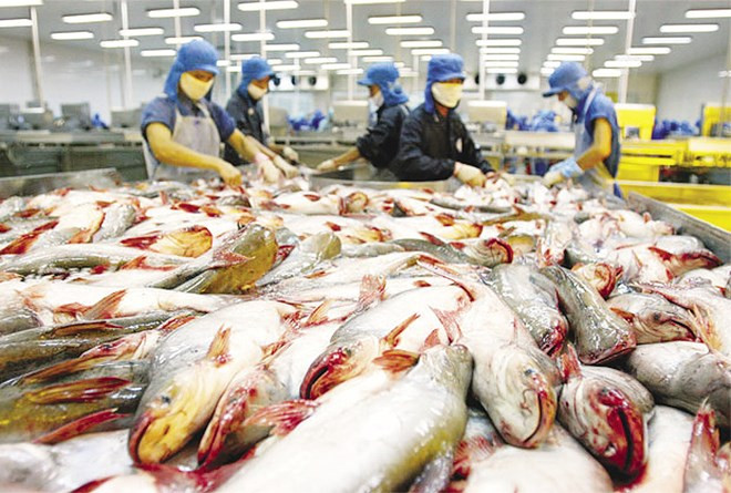 Pangasius : le Vietnam conteste devant l'OMC les mesures américaines ảnh 1 Pangasius : le Vietnam conteste devant l'OMC les mesures américaines ảnh 1