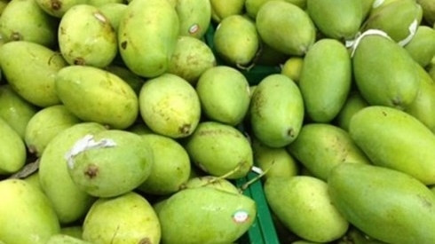 Les produits agricoles vietnamiens à la conquête du marché japonais ảnh 1 Les produits agricoles vietnamiens à la conquête du marché japonais ảnh 1