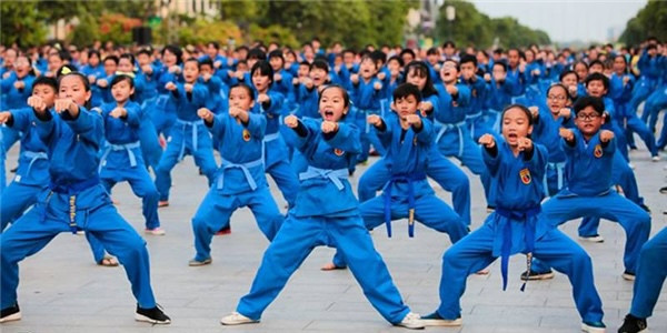 La Coupe d’ambassadeurs de vovinam a fière allure en Algérie ảnh 1 La Coupe d’ambassadeurs de vovinam a fière allure en Algérie ảnh 1