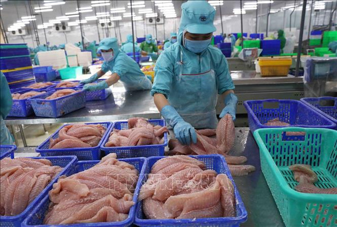 Les exportations du secteur agricole atteindront 55 milliards de dollars cette année ảnh 1 Les exportations du secteur agricole atteindront 55 milliards de dollars cette année ảnh 1