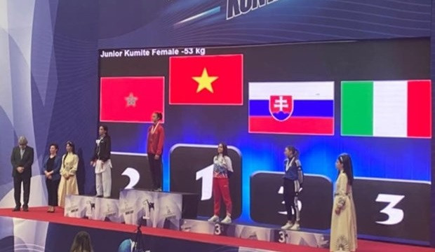 De brillants succès du Vietnam lors de compétitions d'arts martiaux mondiales ảnh 1 De brillants succès du Vietnam lors de compétitions d'arts martiaux mondiales ảnh 1