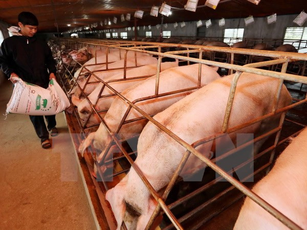 Aide canadienne pour la sécurité alimentaire ảnh 1 Aide canadienne pour la sécurité alimentaire ảnh 1