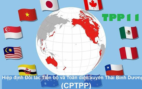 Pour profiter pleinement des retombées du CPTTP ảnh 1