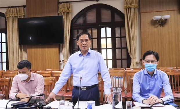 Réunion du groupe de travail du gouvernement sur la diplomatie vaccinale ảnh 1 Réunion du groupe de travail du gouvernement sur la diplomatie vaccinale ảnh 1