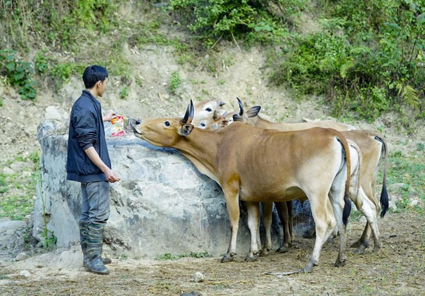 Webinaire d’échanges d’expériences Vietnam-Chine sur la réduction de la pauvreté ảnh 1 Webinaire d’échanges d’expériences Vietnam-Chine sur la réduction de la pauvreté ảnh 1
