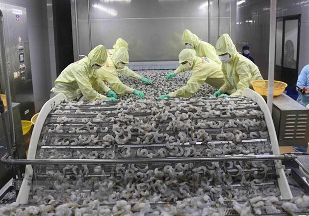 Vers de nouvelles opportunités de coopération pour les entreprises Vietnam-Brésil ảnh 1 Vers de nouvelles opportunités de coopération pour les entreprises Vietnam-Brésil ảnh 1