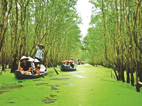 Trà Su : bienvenue dans le paradis vert ! ảnh 1 Trà Su : bienvenue dans le paradis vert ! ảnh 1