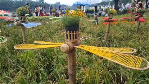 Des foires printanières aux fleurs à Ho Chi Minh-Ville ảnh 3