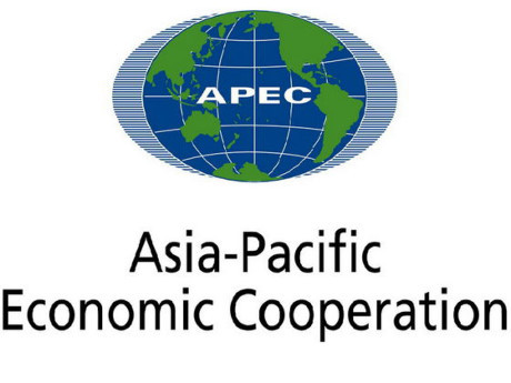Les contributions actives du Vietnam à l’APEC ảnh 1