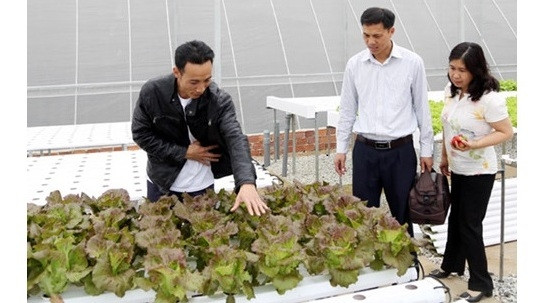 Le Japon aide Lâm Dông à devenir un grand centre d’agriculture en Asie du Sud-Est ảnh 1 Le Japon aide Lâm Dông à devenir un grand centre d’agriculture en Asie du Sud-Est ảnh 1