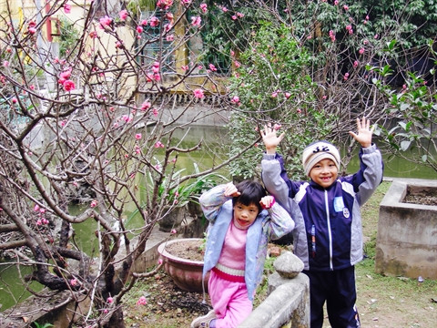 Le Tết à Hanoï, un charme irrésistible ảnh 2 Le Tết à Hanoï, un charme irrésistible ảnh 2