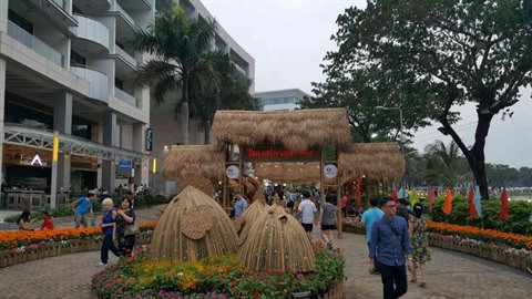 Des foires printanières aux fleurs à Ho Chi Minh-Ville ảnh 1 Des foires printanières aux fleurs à Ho Chi Minh-Ville ảnh 1