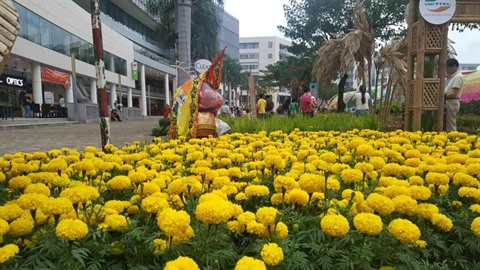 Des foires printanières aux fleurs à Ho Chi Minh-Ville ảnh 2 Des foires printanières aux fleurs à Ho Chi Minh-Ville ảnh 2
