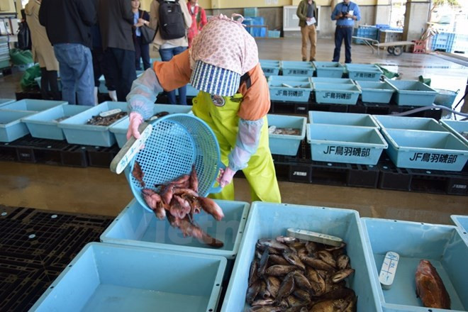 Ho Chi Minh-Ville et Miyagi (Japon) renforcent les liens commerciaux ảnh 1 Ho Chi Minh-Ville et Miyagi (Japon) renforcent les liens commerciaux ảnh 1