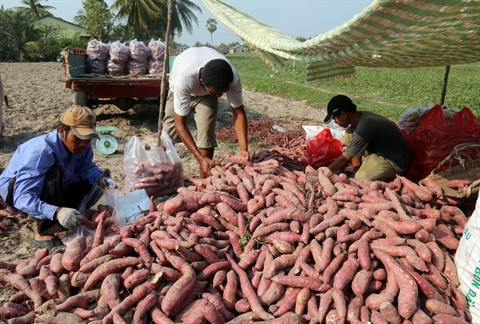 La lutte contre la pauvreté, grande cause nationale ảnh 1 La lutte contre la pauvreté, grande cause nationale ảnh 1