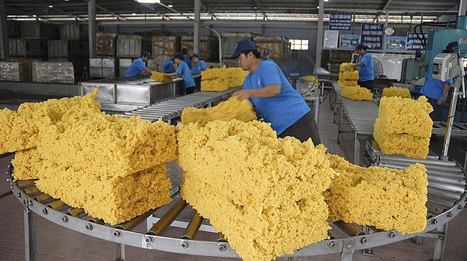 L'Inde augmente ses importations de caoutchouc du Vietnam ảnh 1 L'Inde augmente ses importations de caoutchouc du Vietnam ảnh 1