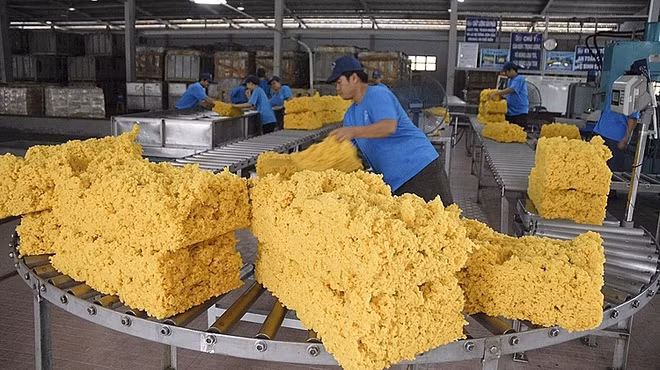 L'Inde augmente ses importations de caoutchouc du Vietnam ảnh 1