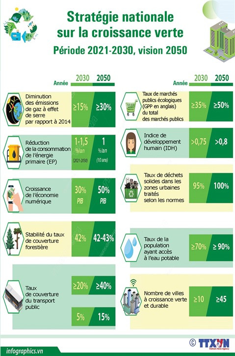 Les experts saluent l’engagement du Vietnam pour une énergie propre ảnh 2 Les experts saluent l’engagement du Vietnam pour une énergie propre ảnh 2