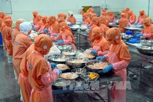 Le Vietnam confronté à la concurrence indienne dans les exportations de produits aquatiques ảnh 1