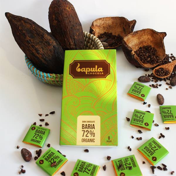 Le chocolat organique vietnamien sera exporté au Japon ảnh 1 Le chocolat organique vietnamien sera exporté au Japon ảnh 1